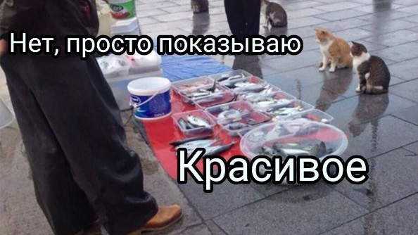 1730823028273.webp