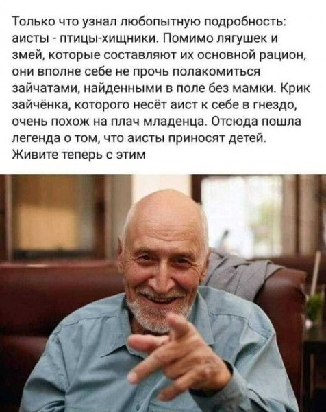 1730833293557.webp