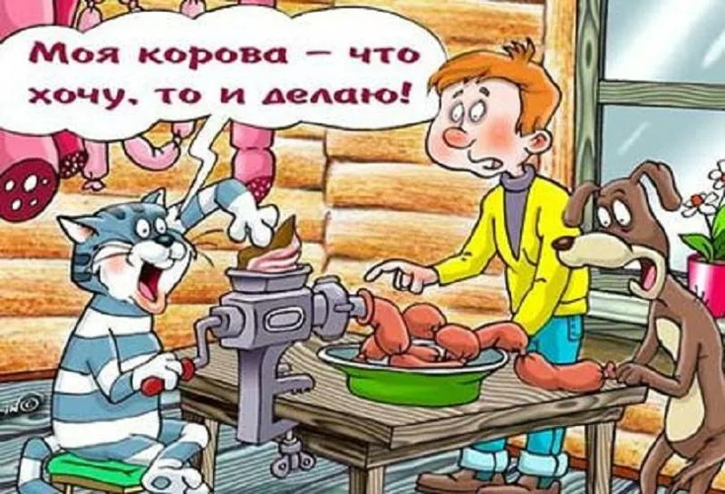 1730842229541.webp