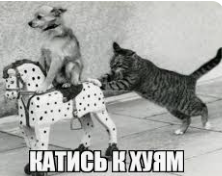 1730914902082.webp
