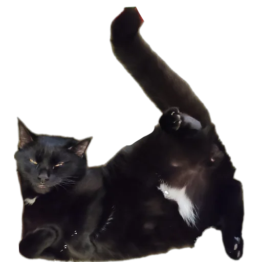 1730926182638.webp