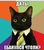 1731445286118.webp