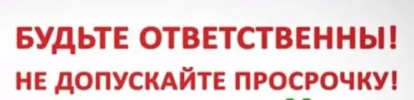 1732059213529.webp
