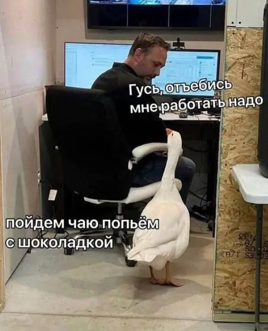1732538340113.webp