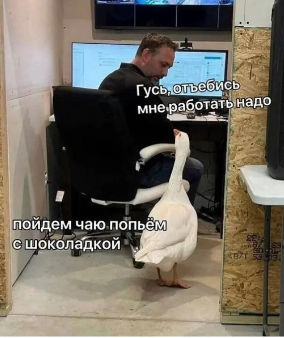 1732538340113.webp