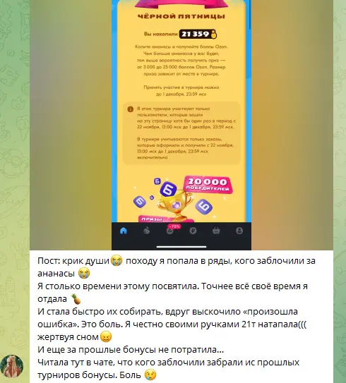 1732679299409.webp