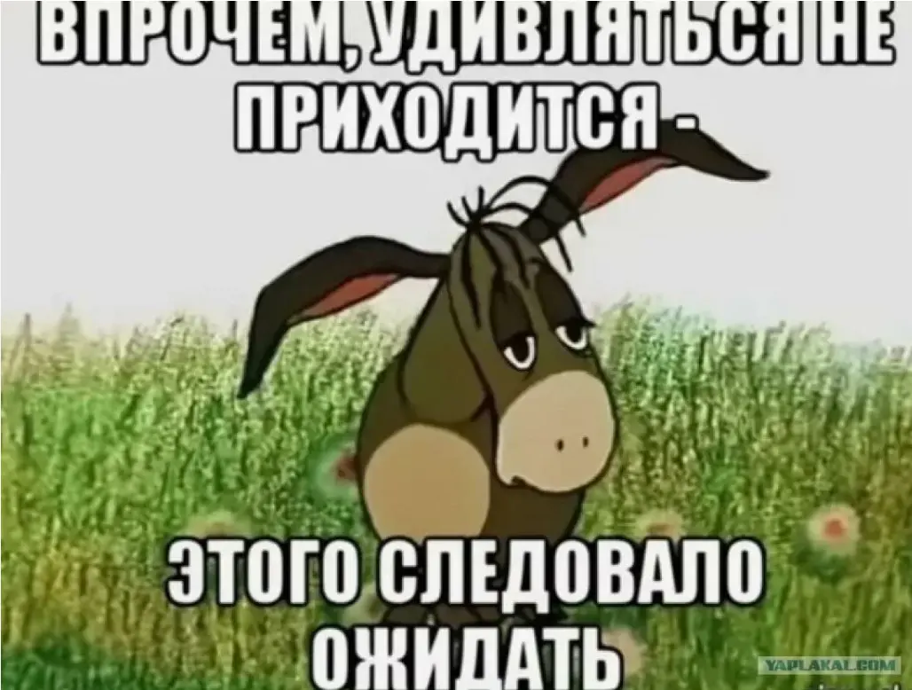 1732710038732.webp