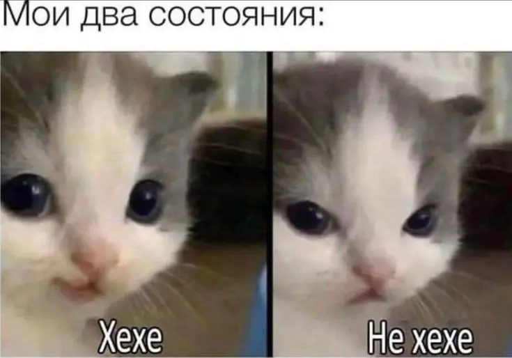 1732983359902.webp