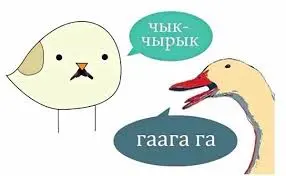 1733250963765.webp