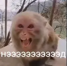 1733354191057.webp