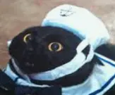 1733492337662.webp