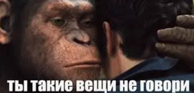 1733566623792.webp