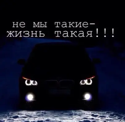 1733656064363.webp