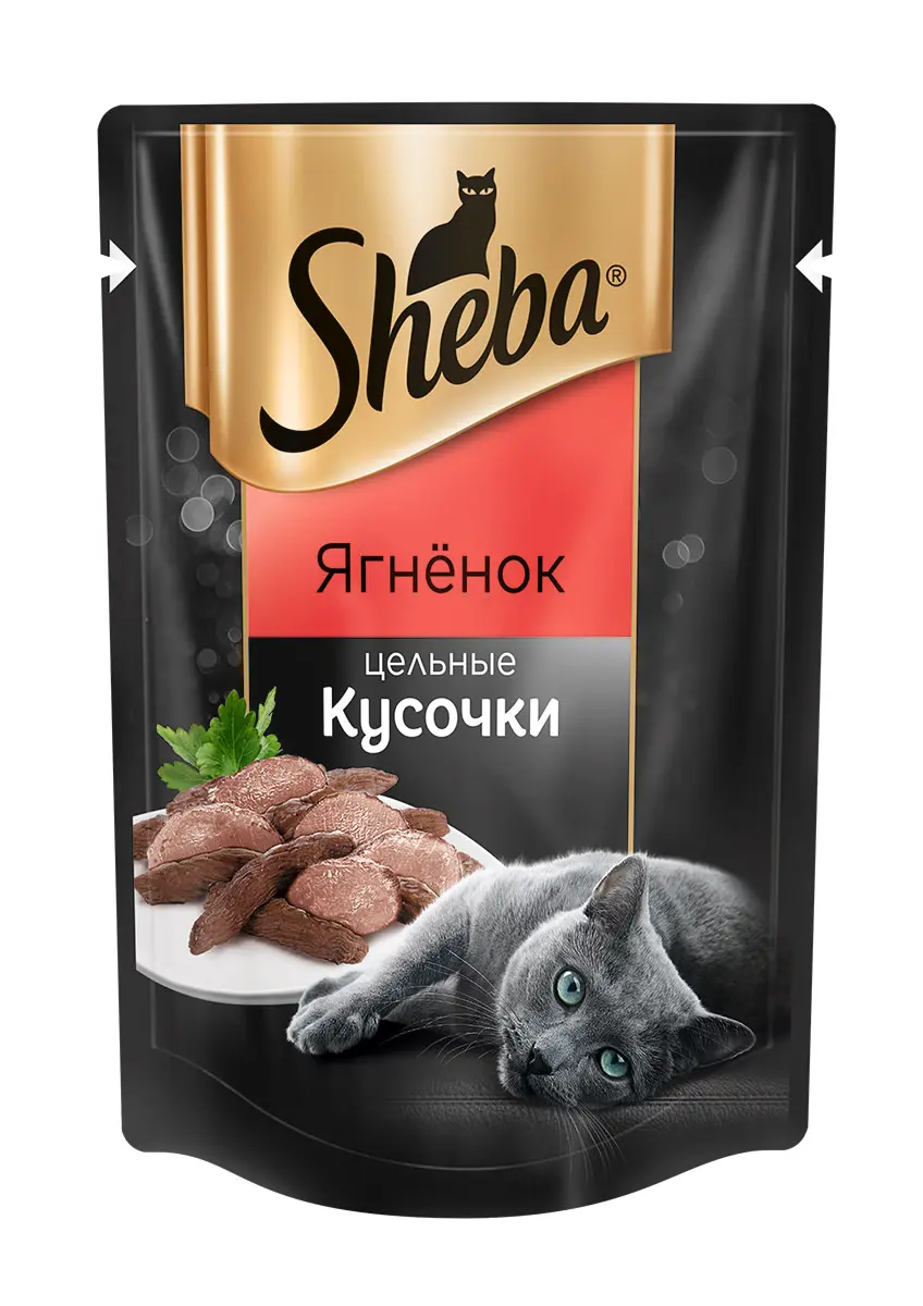 1733829166656.webp