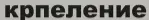 1733869744983.webp