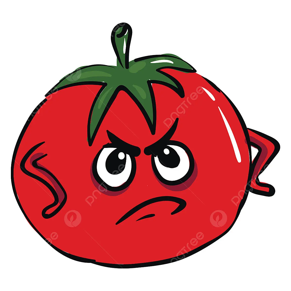 1734115745761.webp