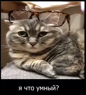1734212376260.webp