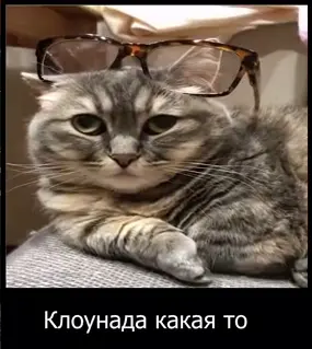 1734212389182.webp