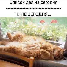 1734289150980.webp