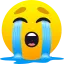 1734458280438.webp