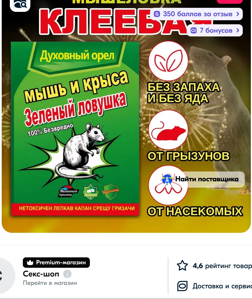 1734509043932.webp