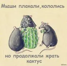 1734686080068.webp