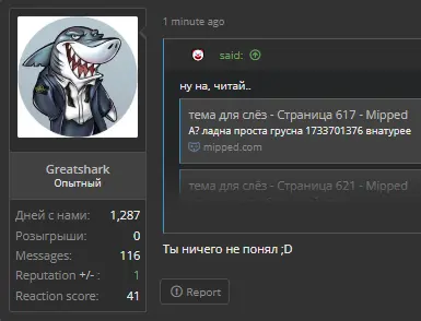 1735030059446.webp
