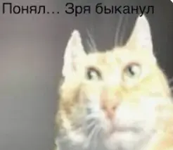 1735030093688.webp