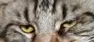 1735164920367.webp