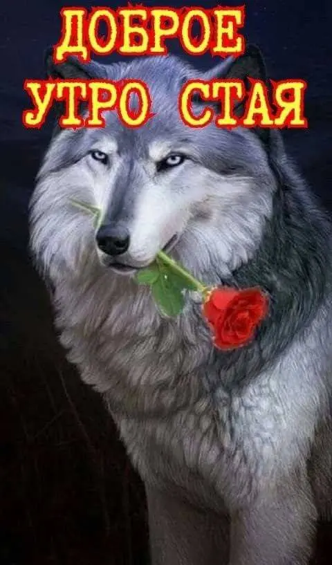 1735188970694.webp