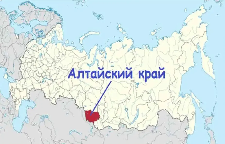 1735319624232.webp