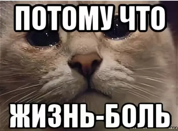 1735333980851.webp