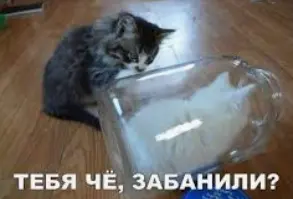 1735490295353.webp