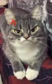 1735553214439.webp