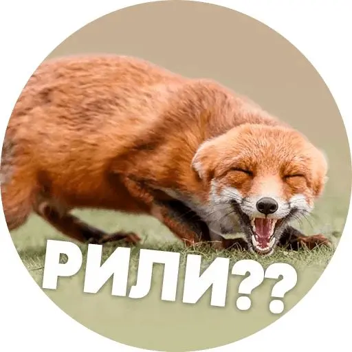 1735562831928.webp