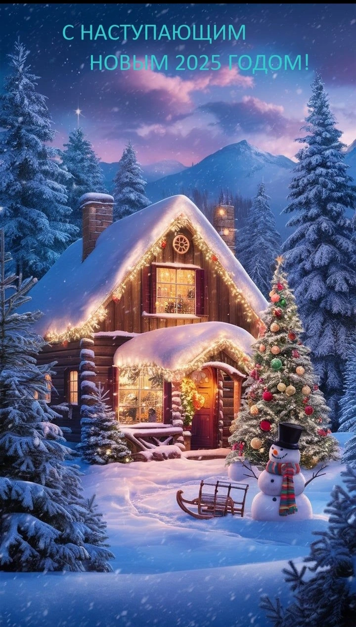 1735623324925.webp