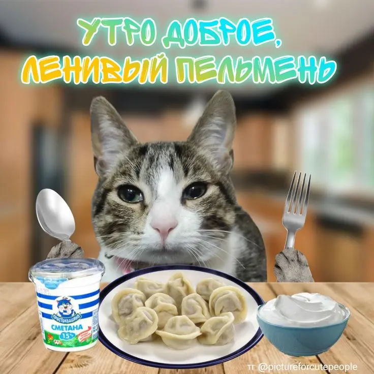 1735623880836.webp