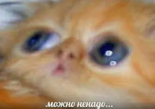 1735639483117.webp
