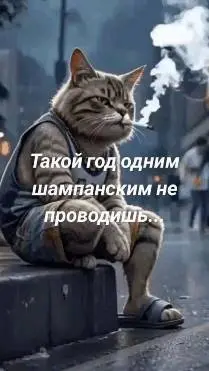 1735642253269.webp