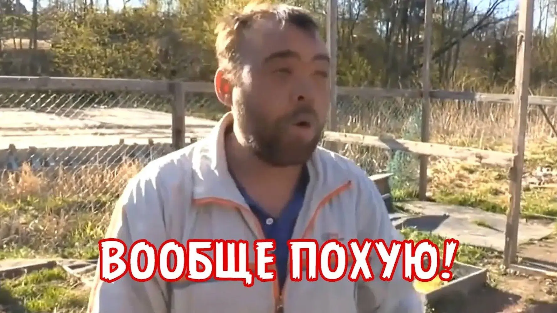 1735754730694.webp