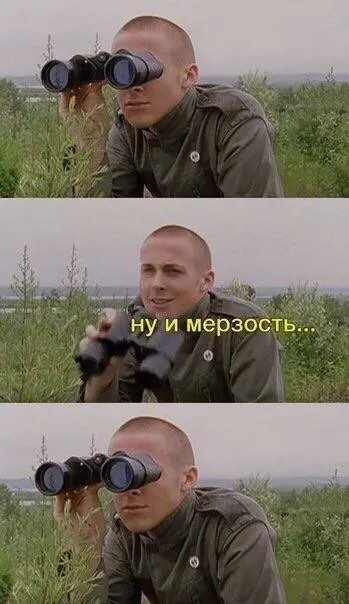 1735923079655.webp