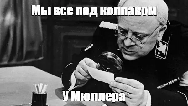 1736005872829.webp