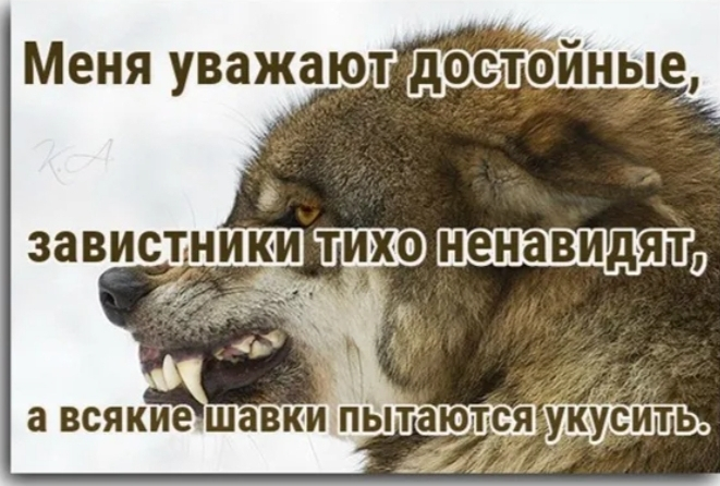 1736010442219.webp