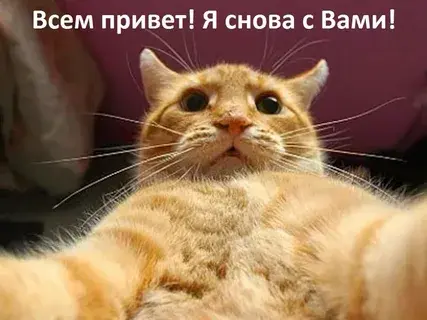 1736054712535.webp