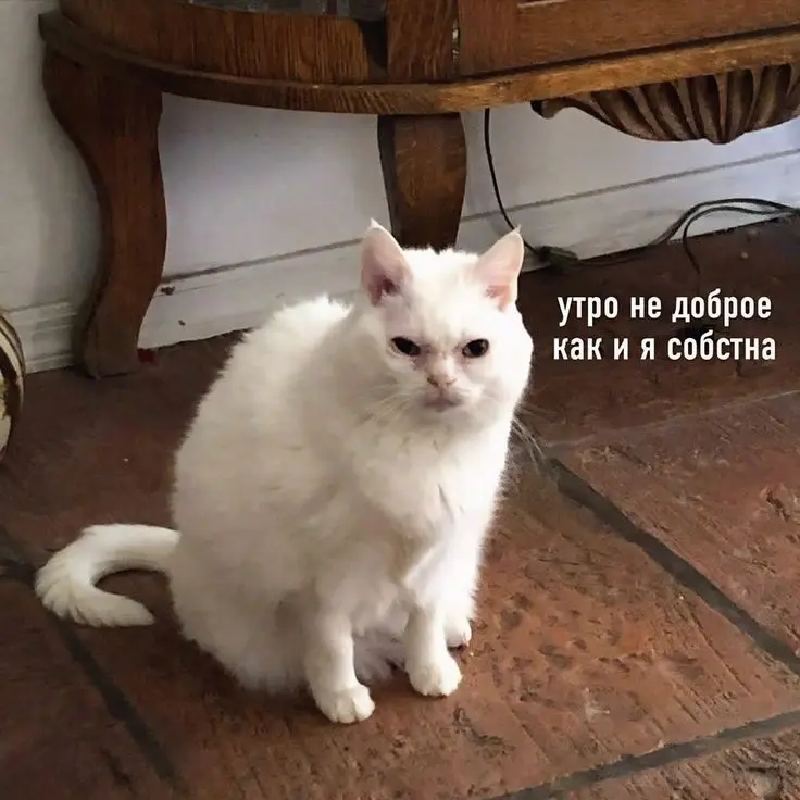 1736063073430.webp