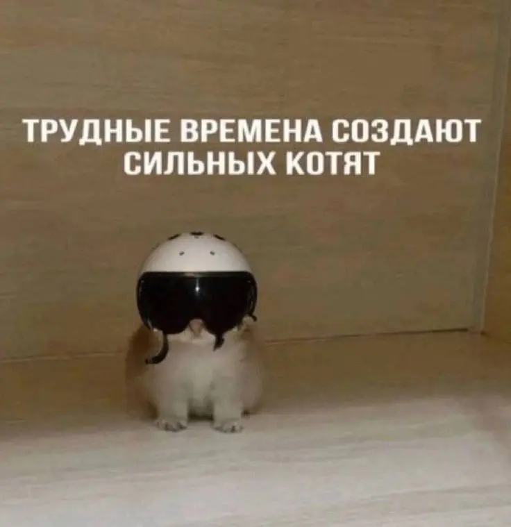 1736168047227.webp