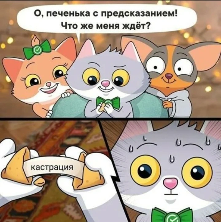 1737987039084.webp