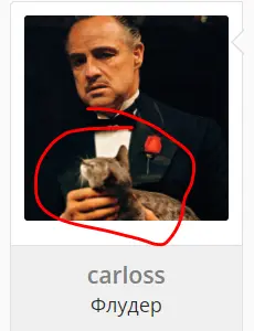 1738849354989.webp