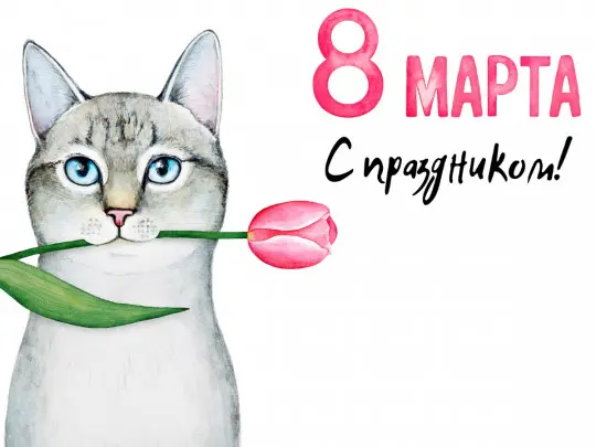 1741416858767.webp