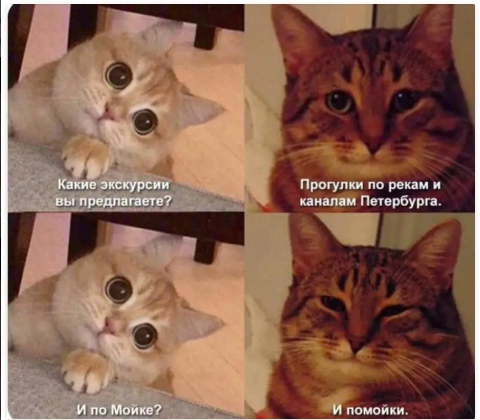 1743360713627.webp